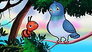 The Dove and The Ant Story | चींटी और कबूतर हिन्दी कहानी | Hindi Kahaniya Panchatantra Stories