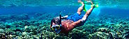 Charter a Private Snorkelling Boat in Grand Cayman - Ocean Frontiers