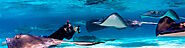 Dawn Stingrays Snorkel Boat Trip in Grand Cayman - Ocean Frontiers
