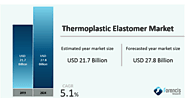 Thermoplastic Elastomer Market by Type (TPE-S, TPE-O, TPE-V, TPE-U, TPE-E, TPE-A), by End-Use Industry (Automotive & ...