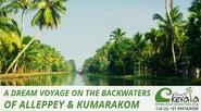 A Dream Voyage on the Backwaters of Alleppey & Kumarakom