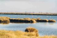 Doñana National Park - Wikipedia, the free encyclopedia