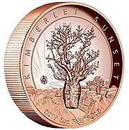 Argyle Art Coins - aidfortheneedy