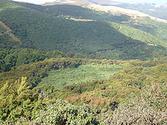 Hinewai Reserve - Wikipedia, the free encyclopedia