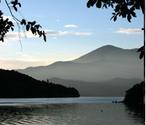 Lochmara Lodge : Accommodation & Eco-Activities in Queen Charlotte Sound, NZ : Home > Welcome