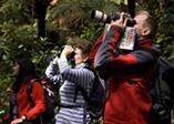 Ruggedy Range Guided Nature Walks, Birdwatching, Stewart Island & Ulva Island, New Zealand, Off the Beaten Track Wild...