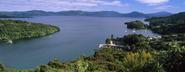 Aihe Eco Charters & Water Taxi, Stewart Island, Rakiura National Park, Ulva Island, Birds, Charters, Cruises, Sightse...