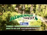 Adrenalin forest - High wire course, adventure park in forest