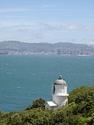Matiu / Somes Island