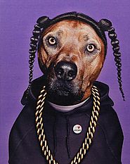 Snoop Dogg As A Dog Art Rap Portrait | The PHAG Shop
