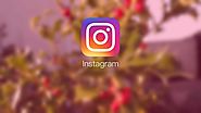 Instagram Tips for Personal Trainer Page