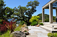 Landscape Designer in Sonoma County