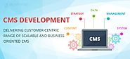 CMS development company in Delhi NCR | Affordable CMS Web development services in Delhi NCR | CMS development | Want ...