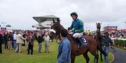 Galway Races - Wikipedia, the free encyclopedia