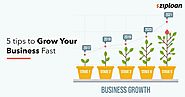 Website at https://storeboard.com/blogs/business/5-tips-to-grow-your-small-business-fast/1828919