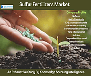 Sulfur Fertilizers Market Size & Share: Industry Report, 2023-2028