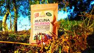Mucuna Pruriens Extract - A Natural Source of L-Dopa