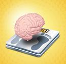 Modafinil (Provigil) Weight Loss Reviews, Results and Why it Works