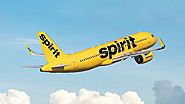 Book Cheap Spirit Airlines Flights and Visit New York Best Destinations