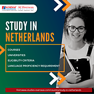 Netherlands: A Choice of every Indian Students for Higher Education – Study Abroad Consultants
