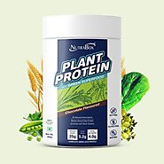 Vegan Plant Based Protein Powder for Bodybuilding - 300 GM
