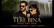 Tere Bina Full Lyrics | Salman Khan | Jacqueline Fernandez | Ajay Bhatia - Salman Khan Lyrics