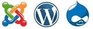 WordPress development company India for website Services