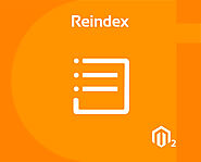 Magento 2 Reindex From Backend - Cynoinfotech