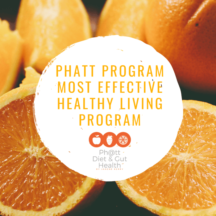 Phatt Diet and Gut Health A Listly List