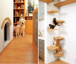 For the Dogs: These Japanese Homes are Pet Playgrounds | Designs & Ideas on Dornob