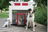 Houses for Dogs | ArchDaily