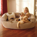 Designer Comfy Pet Couch: