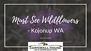 Must See Wildflowers – Kojonup WA - Cornwall House Accommodation