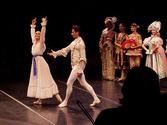 St Petersburg Ballet Theatre - Wikipedia, the free encyclopedia