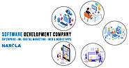 Enterprise Software Development Company USA | Narola Infotech