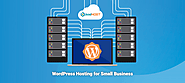 Let’s Discover- What Makes WordPress Hosting the Popular Choice for Small Businesses