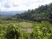 La Gamba, Golfito, Costa Rica 10,000 m2 For Sale Titled Property