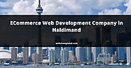 Ecommerce Development Company - WebClues Global