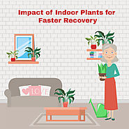Impact of Indoor Plants for Faster Recovery | Benefits of Plants