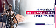Why you should hire a lawyer to handle a dog bite claim?