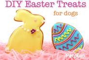 DIY Easter Treats for Dogs