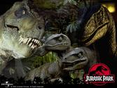 01954 Jurassic Park (1993) Teil 2/2
