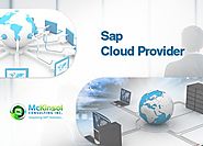 SAP Cloud Provider