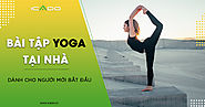 Bài tập yoga tại nhà cho người mới bắt đầu | Icado