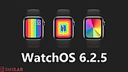Apple watchOS 6.2.5 With ECG App and New Pride Watch Faces