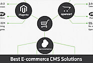 Why Do You Need An Opencart Development Company When Building A Web Store?