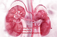 Website at https://www.zaizhanghospital.org/kidney-disease-treatment/185.html
