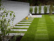 Find the best Lawn Turf Service in Leighsbrook