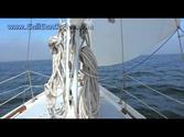 Best day ever Sailing Fogy day San Carlos Mexico