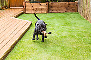 Your puppy will be super happy with artificial grass in your backyard